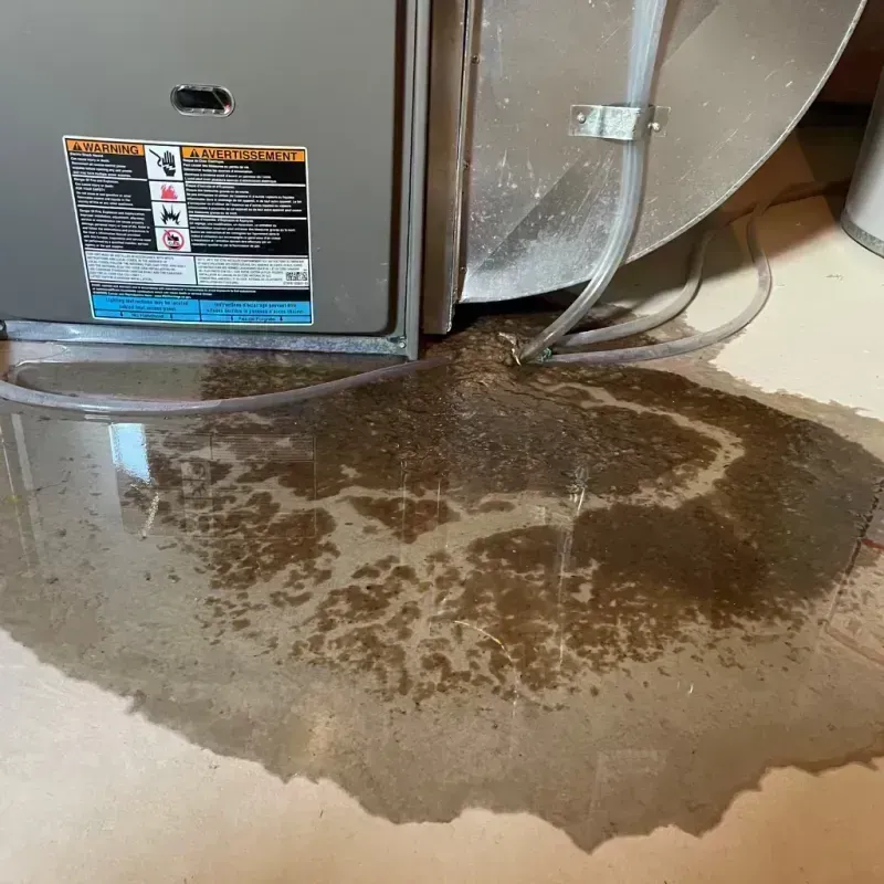 Appliance Leak Cleanup in Ohio County, IN